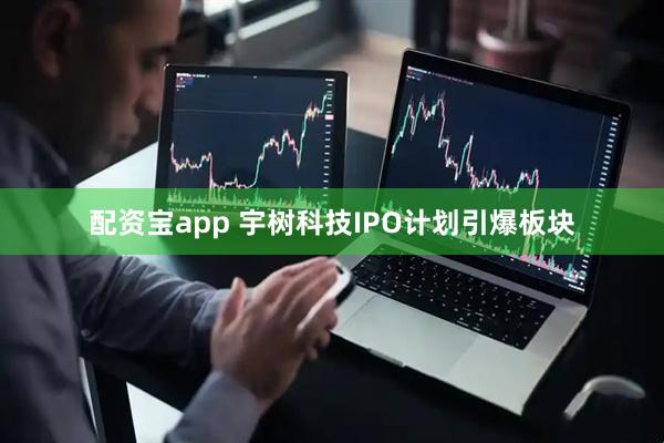 配资宝app 宇树科技IPO计划引爆板块