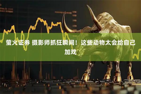 萤火证券 摄影师抓狂瞬间！这些动物太会给自己加戏