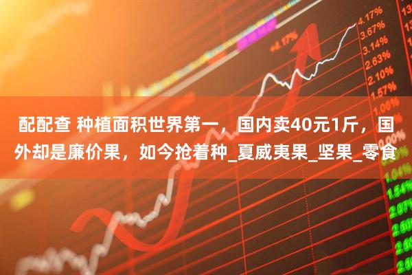 配配查 种植面积世界第一，国内卖40元1斤，国外却是廉价果，如今抢着种_夏威夷果_坚果_零食